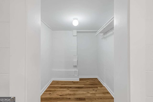 spacious closet with hardwood / wood-style flooring