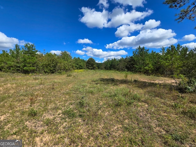 0 Eddie Edge Rd, Buena Vista GA, 31803 land for sale