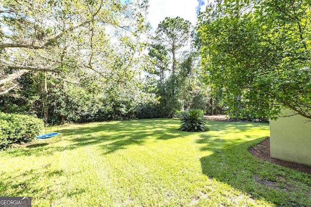 233 Cardinal Cir W, Saint Marys, GA 31558 - view of yard
