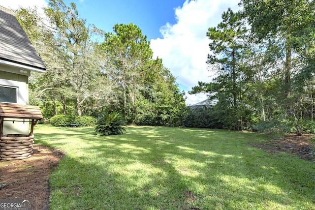 233 Cardinal Cir W, Saint Marys, GA 31558 - view of yard
