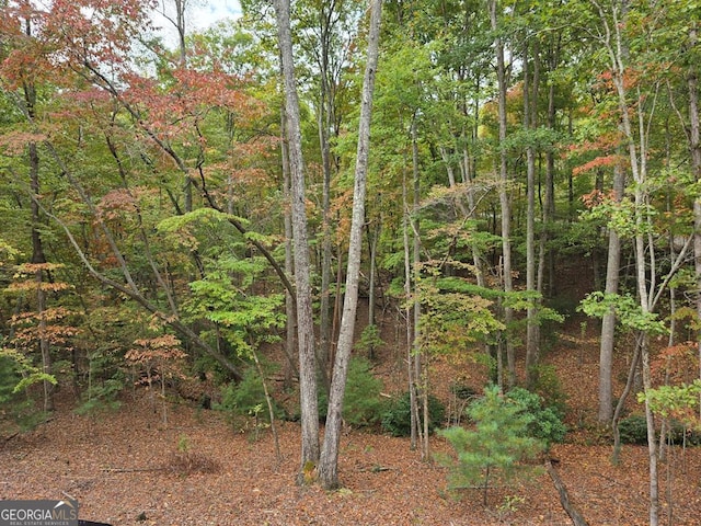 view of landscape