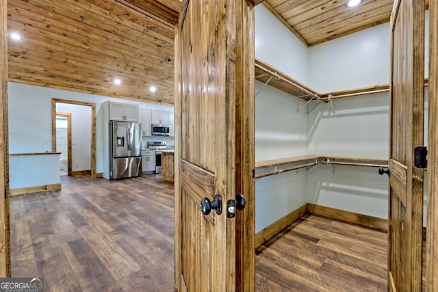 spacious closet featuring dark wood-type flooring