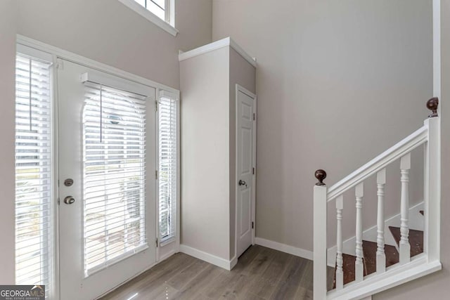 entrance foyer featuring hardwood / wood-style flooring