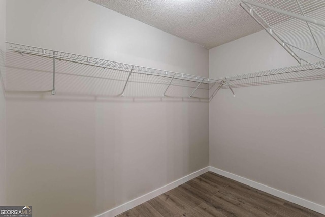 spacious closet featuring dark hardwood / wood-style flooring