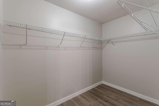 1983 Smithfield Ave, Ellenwood, GA 30294 - walk in closet featuring wood finished floors