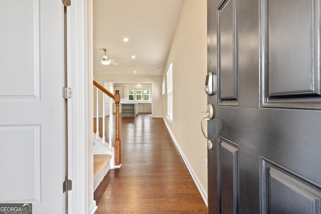 entrance foyer with ceiling fan and dark wood-type flooring