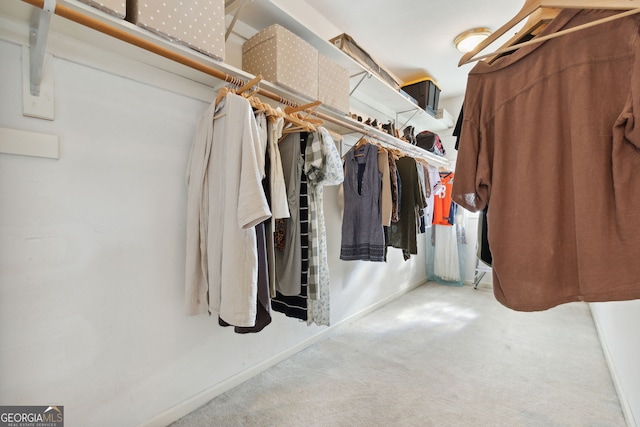 spacious closet featuring carpet