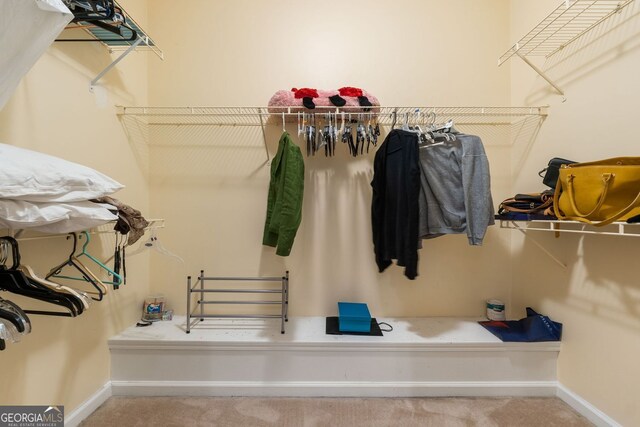 spacious closet with carpet floors