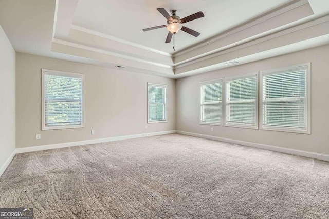 unfurnished room with plenty of natural light, a tray ceiling, and carpet