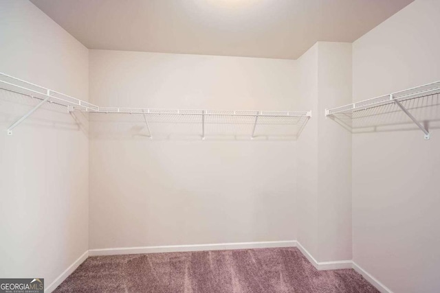 spacious closet with carpet flooring