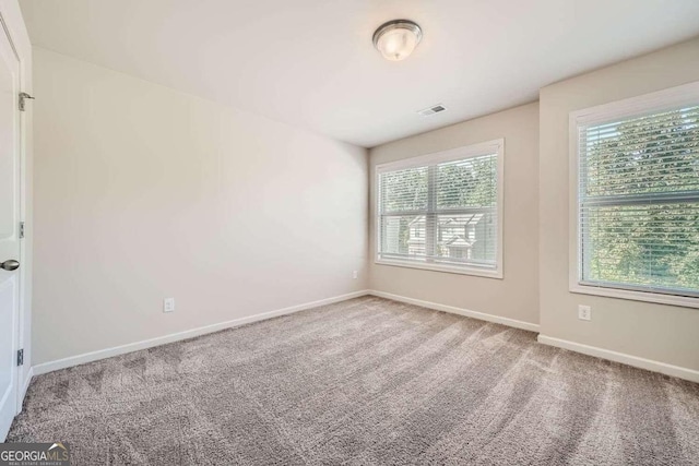 spare room featuring carpet flooring and a wealth of natural light