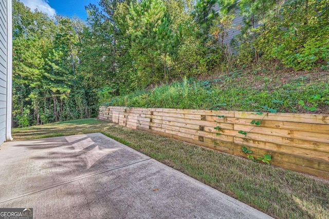 view of yard with a patio