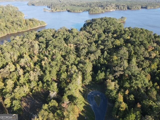 14, 15 N Pointe Rd, Tignall, GA 30668
