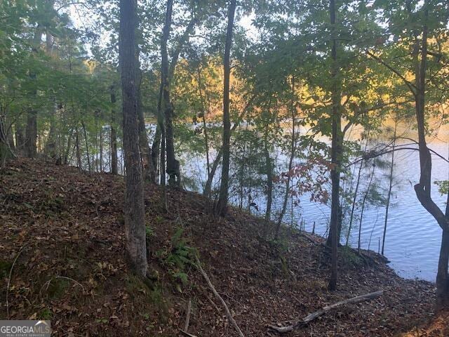 14, 15 N Pointe Rd, Tignall, GA 30668