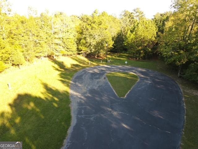 14, 15 N Pointe Rd, Tignall, GA 30668