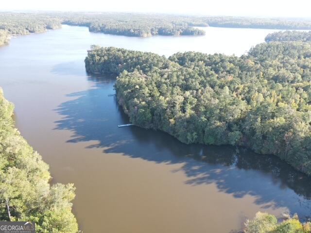 14, 15 N Pointe Rd, Tignall, GA 30668