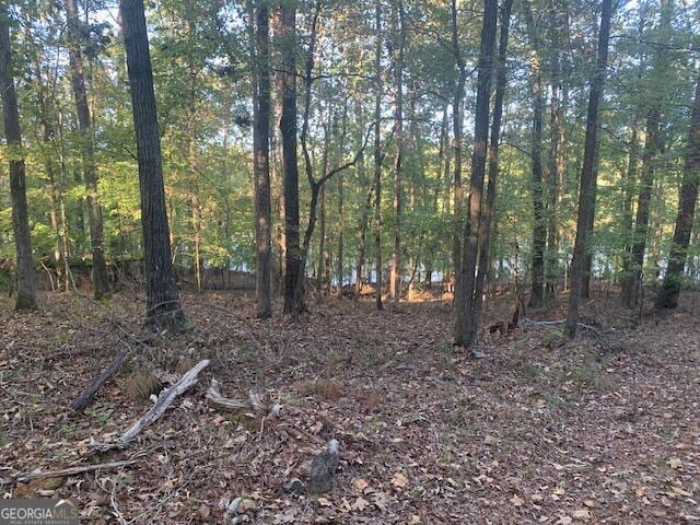14, 15 N Pointe Rd, Tignall, GA 30668