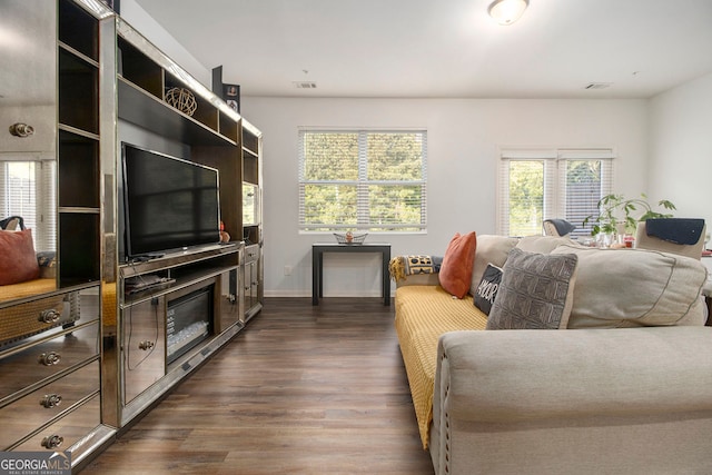 living room with dark hardwood / wood-style floors