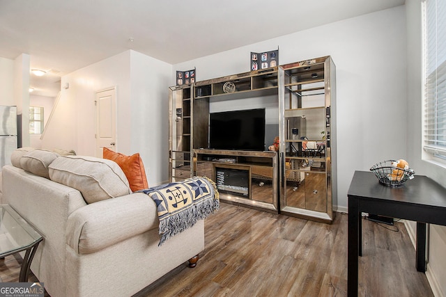 living room featuring hardwood / wood-style flooring