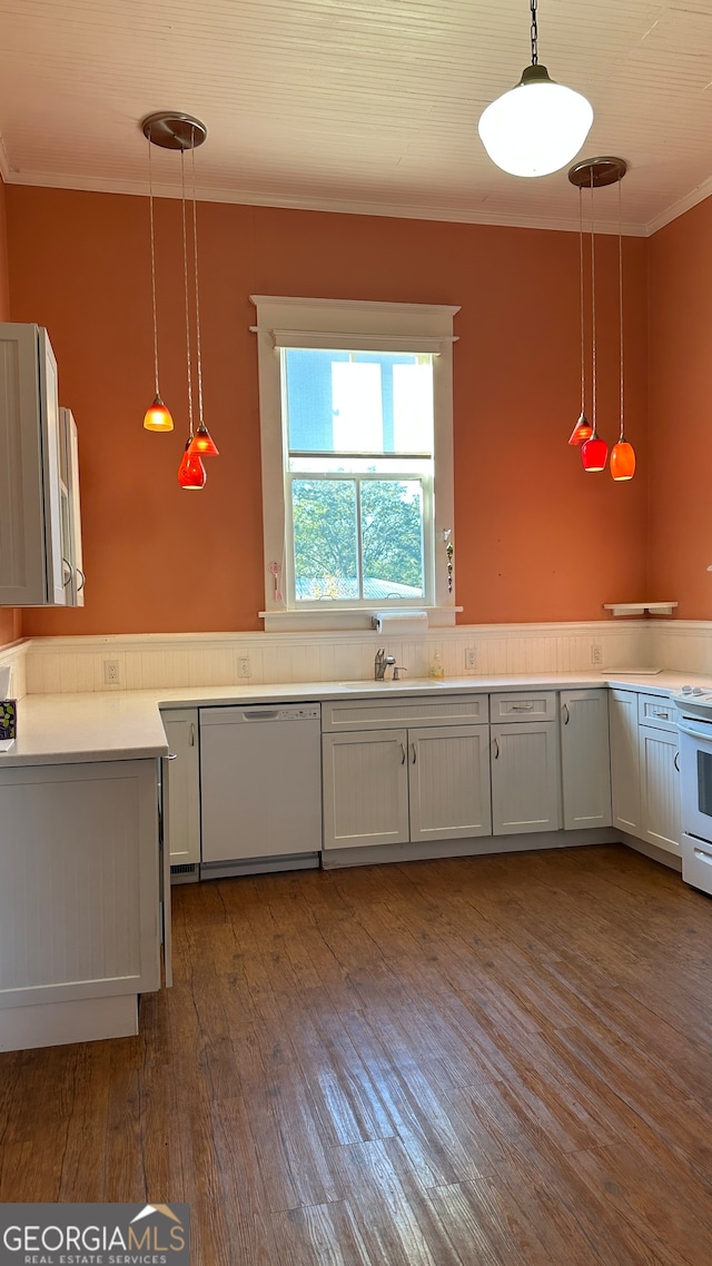 kitchen featuring decorative light fixtures, white dishwasher, and dark hardwood / wood-style flooring