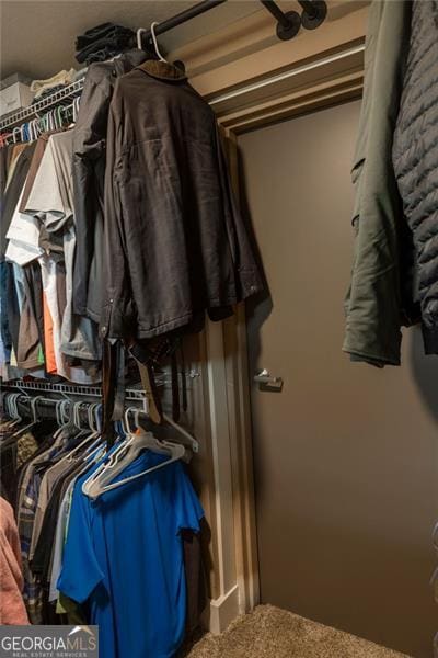 spacious closet with carpet floors