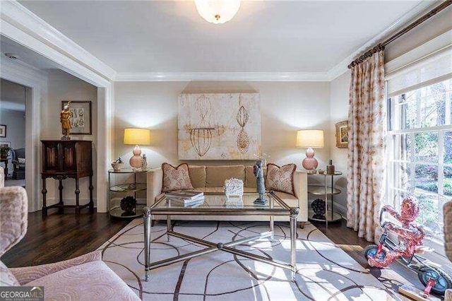 living area featuring crown molding and dark hardwood / wood-style flooring