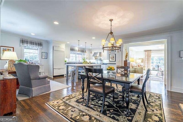 dining area with crown molding, a wealth of natural light, and dark wood-type flooring