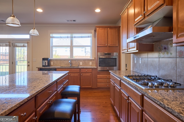 kitchen with plenty of natural light, appliances with stainless steel finishes, dark hardwood / wood-style flooring, and sink