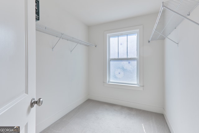 walk in closet featuring carpet flooring