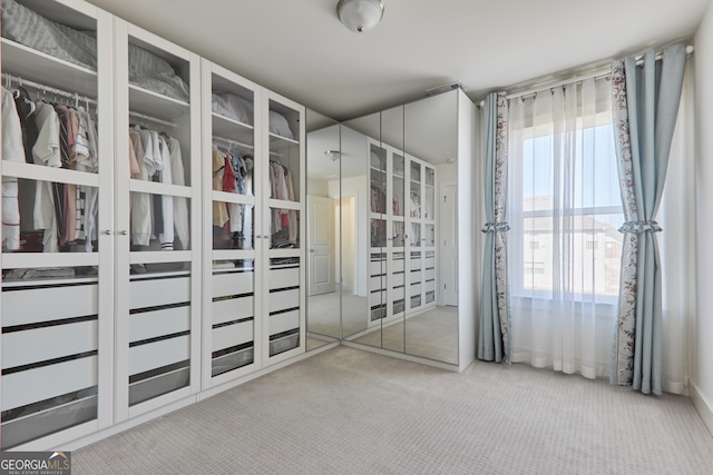 spacious closet with carpet floors