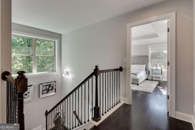 staircase featuring plenty of natural light, a tray ceiling, and wood-type flooring