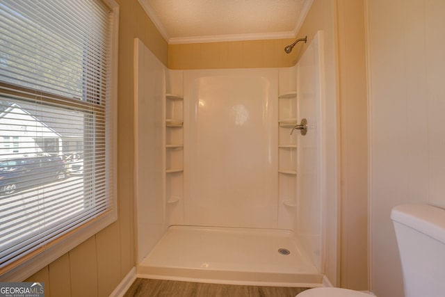 bathroom with a wealth of natural light, toilet, and walk in shower