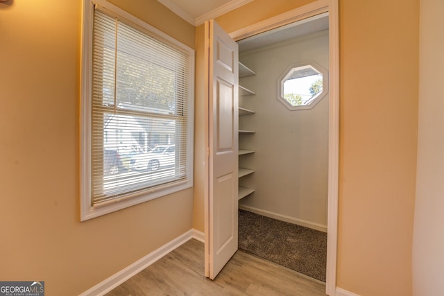 view of closet