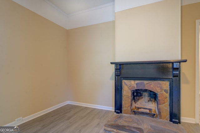 details featuring ornamental molding, hardwood / wood-style floors, and a fireplace