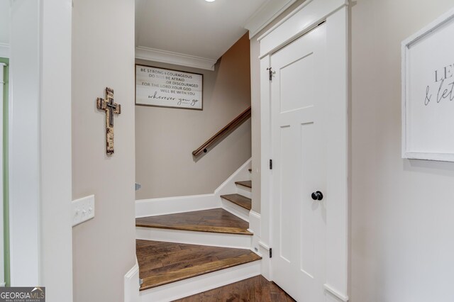 staircase featuring hardwood / wood-style flooring