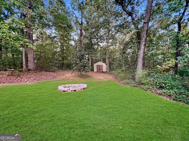 view of yard with a storage shed