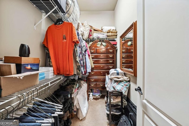 walk in closet featuring carpet flooring