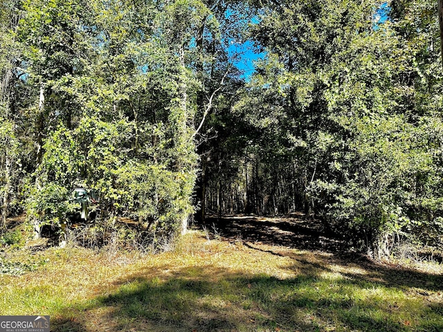 6587 Brockton Rd, Nicholson, GA 30565 - view of local wilderness