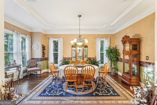 dining room featuring a wealth of natural light, ornamental molding, a notable chandelier, and dark hardwood / wood-style flooring