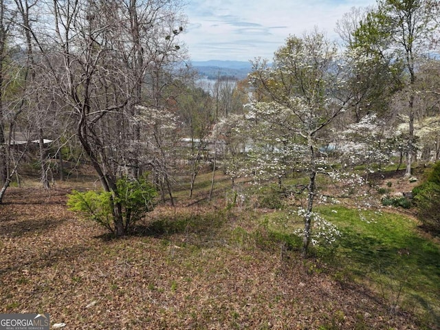 Listing photo 2 for LOT12 Chatuge Cove Dr, Hayesville NC 28904