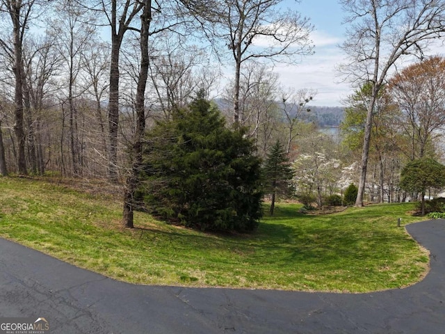 Listing photo 3 for LOT12 Chatuge Cove Dr, Hayesville NC 28904