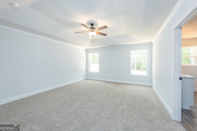 empty room featuring a healthy amount of sunlight, ornamental molding, and a tray ceiling