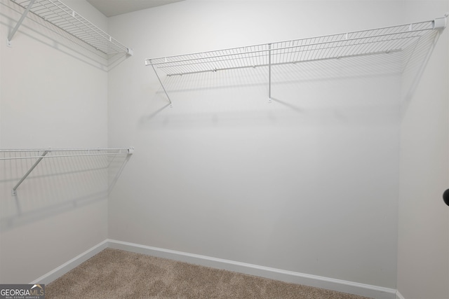 walk in closet with carpet