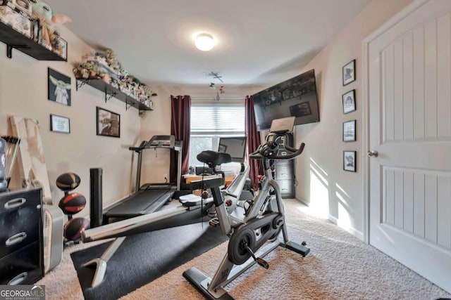 exercise area with carpet flooring