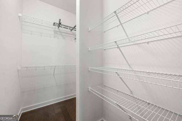 walk in closet featuring hardwood / wood-style floors