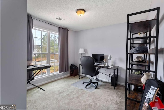 carpeted office space with a textured ceiling and a wealth of natural light