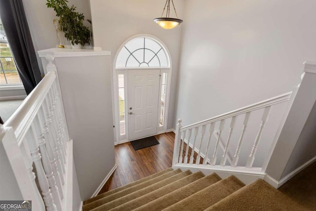 foyer entrance featuring dark hardwood / wood-style flooring