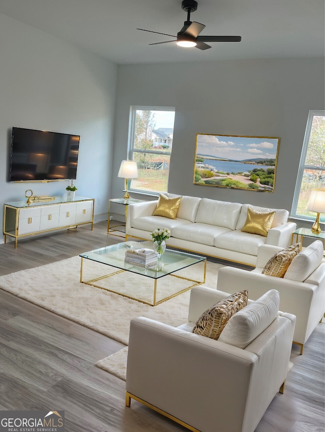 living room with hardwood / wood-style floors, ceiling fan, and a wealth of natural light