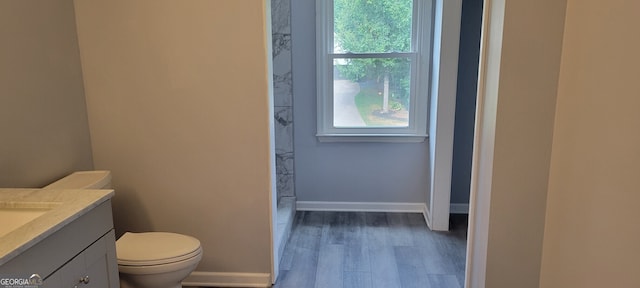 bathroom featuring vanity, toilet, and hardwood / wood-style floors