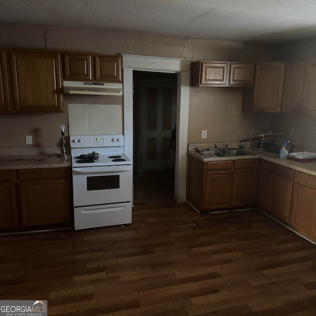 kitchen featuring sink, a textured ceiling, white range with electric cooktop, and dark hardwood / wood-style floors